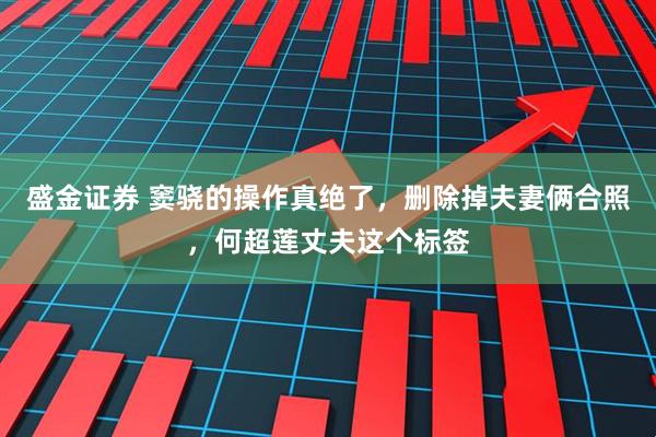 盛金证券 窦骁的操作真绝了,删除掉夫妻俩合照,何超莲丈夫这个标签