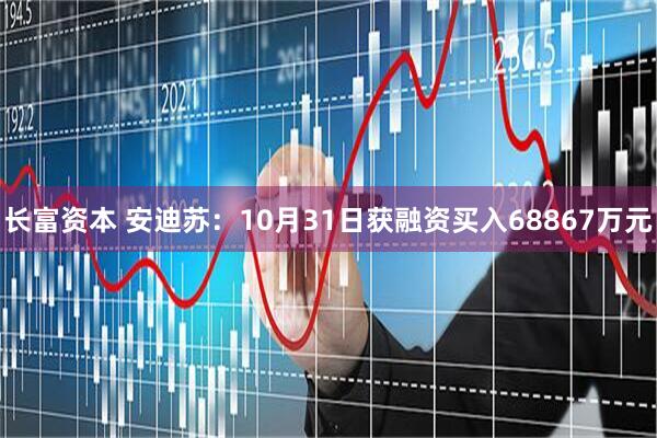 长富资本 安迪苏：10月31日获融资买入68867万元